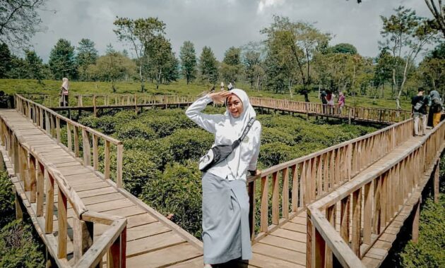 buka jam berapa wisata agro kebun teh wonosari malang dan harga tiket masuk lokasi?