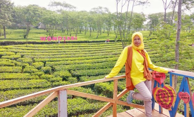 buka jam berapa wisata agro kebun teh wonosari malang dan harga tiket masuk lokasi?