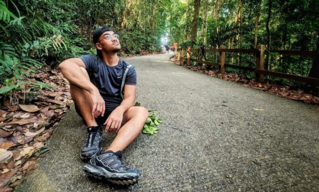 bukit timah, daftar pilihan gunung mini yang menjadi puncak tertinggi di singapura
