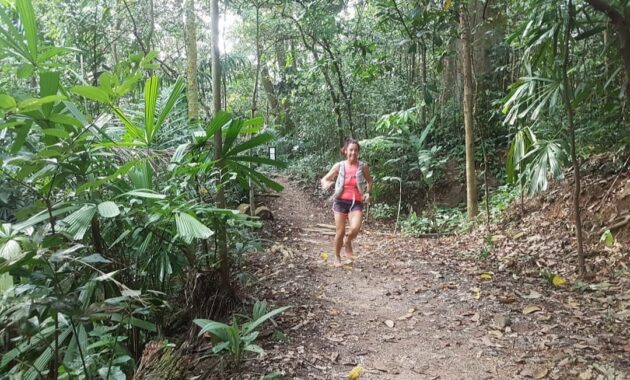 bukit timah, daftar pilihan gunung mini yang menjadi puncak tertinggi di singapura