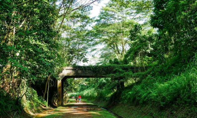 bukit timah, daftar pilihan gunung mini yang menjadi puncak tertinggi di singapura
