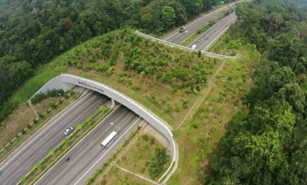 bukit timah, daftar pilihan gunung mini yang menjadi puncak tertinggi di singapura