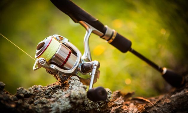 Butuh Peralatan Mancing Terbaik dan Modern? 10 Toko Pancing Terlengkap di Bogor Ini Solusinya