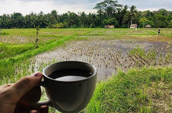 cafe pomegranate, tempat nongkrong keren di ubud bali