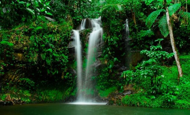 curug seribu bogor