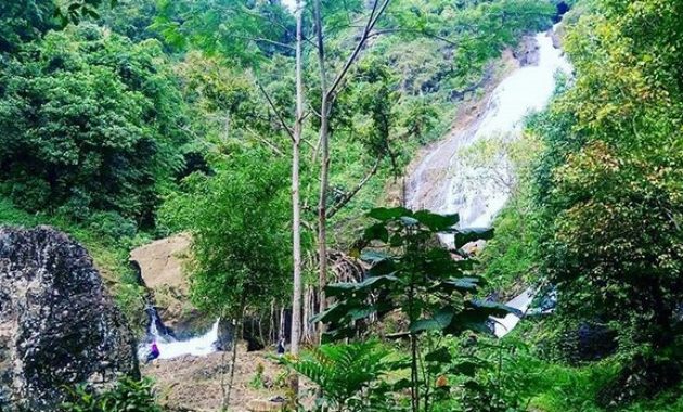 curug winong wonosobo, air terjun tersembunyi yang menghadirkan nuansa hutan dan pegunungan
