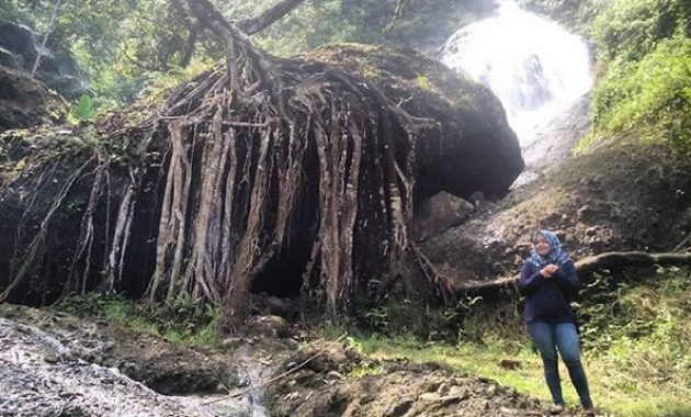 curug winong wonosobo, air terjun tersembunyi yang menghadirkan nuansa hutan dan pegunungan