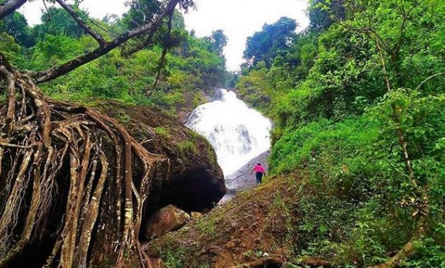 curug winong wonosobo, air terjun tersembunyi yang menghadirkan nuansa hutan dan pegunungan