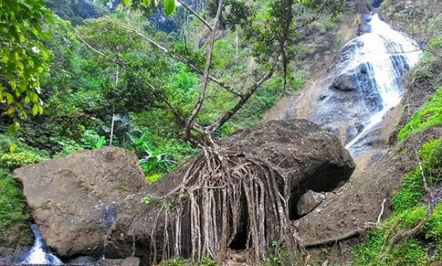 Curug Winong Wonosobo, Air Terjun Tersembunyi yang Menghadirkan Nuansa Hutan dan Pegunungan