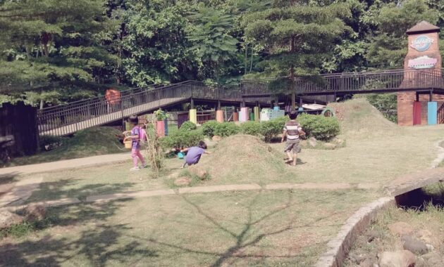 d kandang amazing farm, ajak anak liburan disini