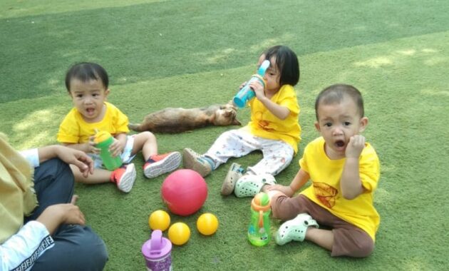 d kandang amazing farm, ajak anak liburan disini