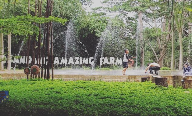 D Kandang Amazing Farm, Ajak Anak Liburan Disini
