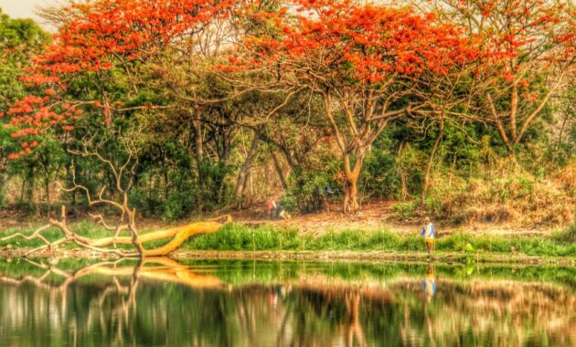 daftar wisata pantai di wilayah gresik yang paling bagus lagi hits dan apakah ada pasir putih?