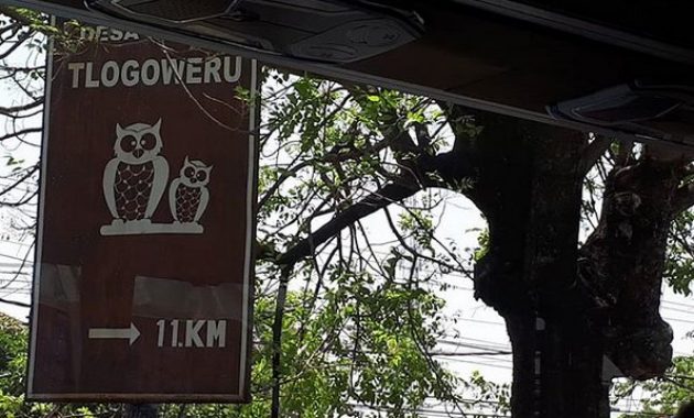 desa wisata tlogoweru, burung hantu penangkal hama tikus