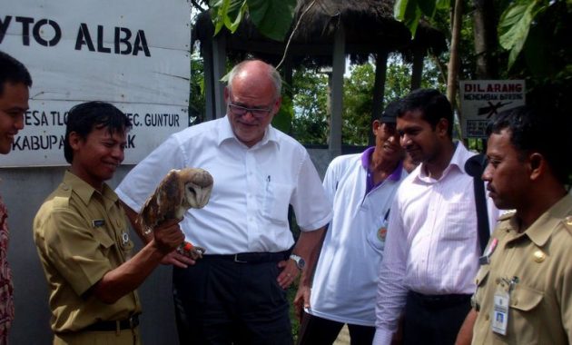 desa wisata tlogoweru, burung hantu penangkal hama tikus