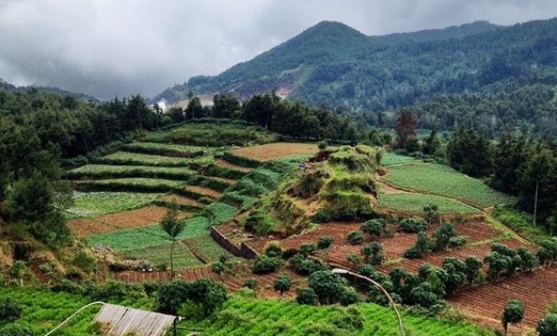 dieng plateau theater wonosobo, tempat menarik untuk mengenal sejarah dieng beserta keindahannya