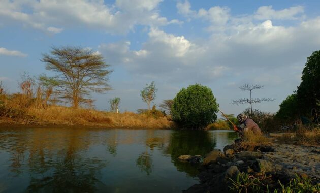 dimana lokasi wisata pantai tirang semarang, apakah ada sunset dan berapa harga tiket masuknya?, Harga Tiket Masuk , Letak Lokasi , Terjadi Abrasi, Jalan Menuju Lokasi, Wisata Terdekat