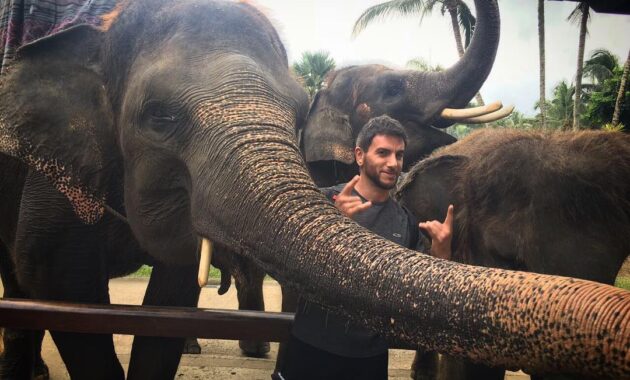 elephant safari park bali, Keindahan Potensi, Harga Paket, Jalan Menuju Lokasi, Buka Jam Berapa, Harga Tiket Masuk