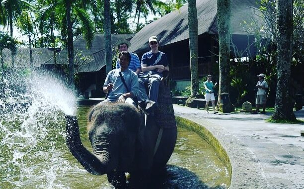 elephant safari park bali, Keindahan Potensi, Harga Paket, Jalan Menuju Lokasi, Buka Jam Berapa, Harga Tiket Masuk