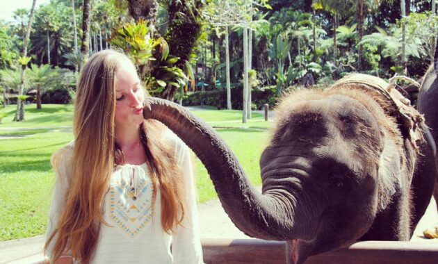 elephant safari park bali, Keindahan Potensi, Harga Paket, Jalan Menuju Lokasi, Buka Jam Berapa, Harga Tiket Masuk