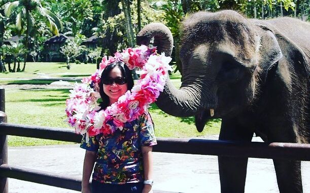 elephant safari park bali, Keindahan Potensi, Harga Paket, Jalan Menuju Lokasi, Buka Jam Berapa, Harga Tiket Masuk