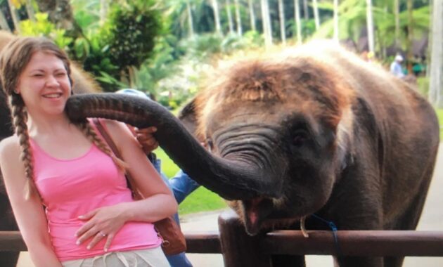 Elephant Safari Park Bali