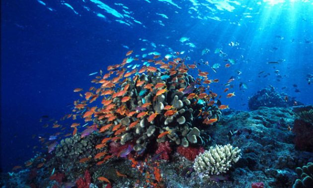 eloknya destinasi patung yesus, wisata di tanah sulawesi