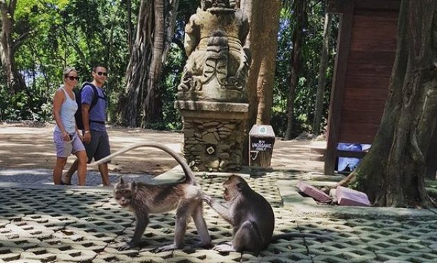 eloknya pesona alam bali di mandala wisata wenara wana