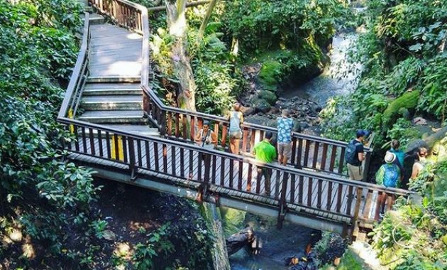 eloknya pesona alam bali di mandala wisata wenara wana