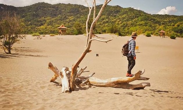aktvitas seru di gumuk pasir parangkusumo, gumuk pasir parangkusumo, harga tiket masuk gumuk pasir parangkusumo, hotal dekat gumuk pasir parangkusumo, jam operasional gumuk pasir parangkusumo, kuliner di gumuk pasir parangkusumo, liburan ke gumuk pasir parangkusumo, lokasi gumuk pasir parangkusumo, objek foto gumuk pasir parangkusumo, rute gumuk pasir parangkusumo, gumuk pasir parangkusumo: rute lokasi, harga tiket, fasilitas, daya tarik dll