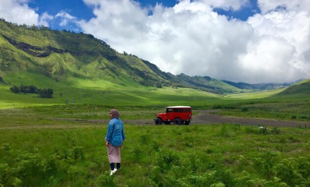 gunung bromo di jawa timur