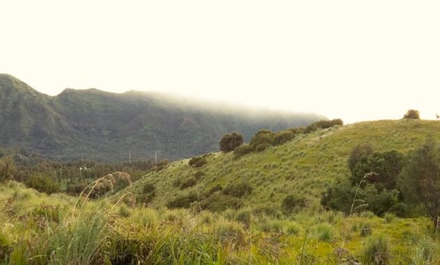 gunung bromo di jawa timur