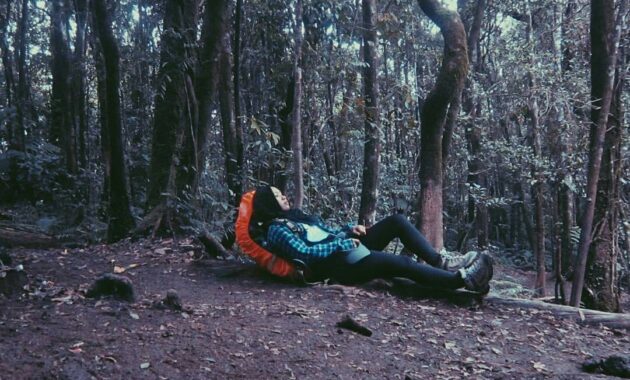 gunung gede pangrango national park bogor
