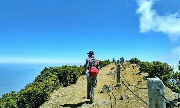 gunung gede pangrango national park bogor
