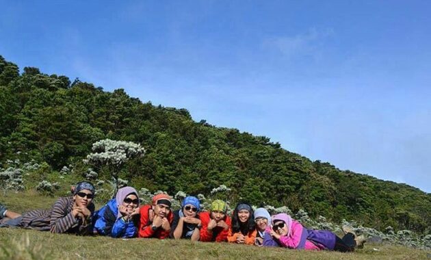 gunung gede pangrango national park bogor