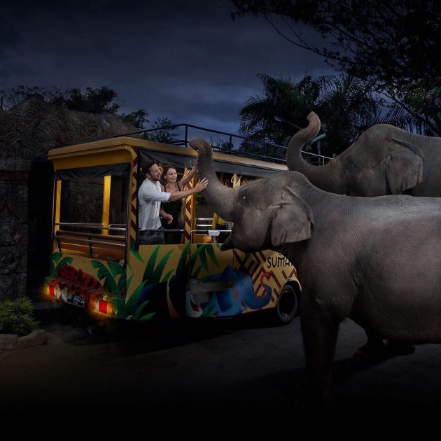 harga tiket masuk bali zoo