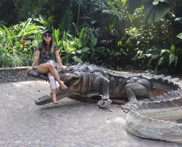 Harga Tiket Masuk Bali Zoo