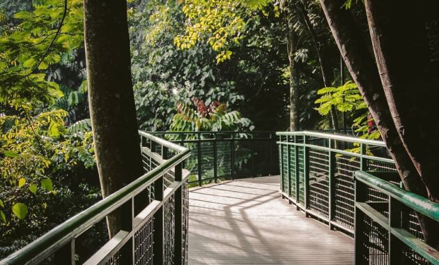 harga tiket masuk dan jalan menuju babakan siliwangi bandung, Mengenal Baksil, Sejarah Babakan Siliwangi, Daya Tarik, Harga Tiket Masuk, Rute Menuju Lokasi