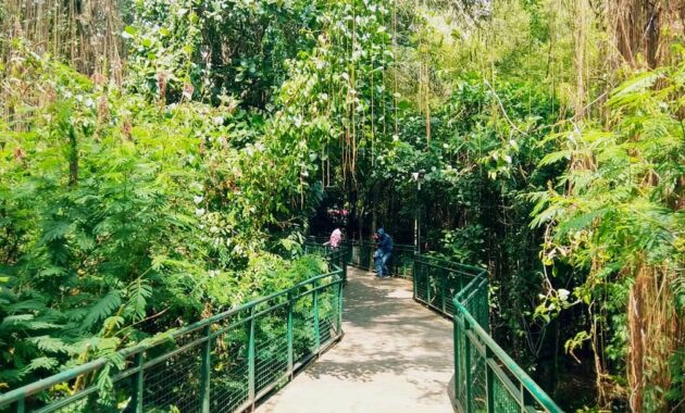 harga tiket masuk dan jalan menuju babakan siliwangi bandung, Mengenal Baksil, Sejarah Babakan Siliwangi, Daya Tarik, Harga Tiket Masuk, Rute Menuju Lokasi