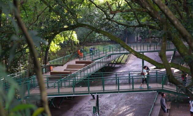 harga tiket masuk dan jalan menuju babakan siliwangi bandung, Mengenal Baksil, Sejarah Babakan Siliwangi, Daya Tarik, Harga Tiket Masuk, Rute Menuju Lokasi
