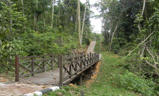 harga tiket masuk kebun raya balikpapan, sejarah legenda, lokasi alamat, nomor telepon + jalan menuju ke sana