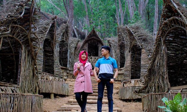 hutan pinus imogiri mangunan dlingo bantul yogyakarta, Hutan Pinus Imogiri, Mengenal Sekilas , Rute Menuju Lokasi, Daya Tarik , Harga Tiket Masuk 