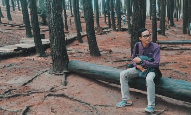 hutan pinus imogiri mangunan dlingo bantul yogyakarta, Hutan Pinus Imogiri, Mengenal Sekilas , Rute Menuju Lokasi, Daya Tarik , Harga Tiket Masuk 