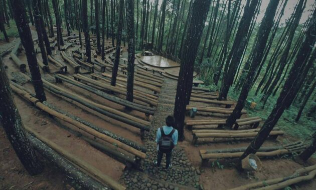 hutan pinus imogiri mangunan dlingo bantul yogyakarta, Hutan Pinus Imogiri, Mengenal Sekilas , Rute Menuju Lokasi, Daya Tarik , Harga Tiket Masuk 
