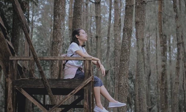 hutan pinus songgon