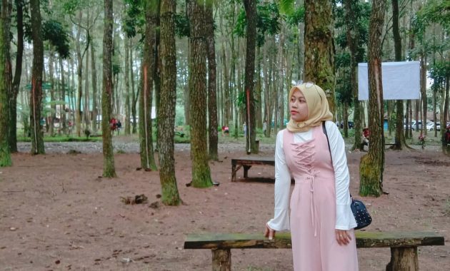 hutan pinus songgon