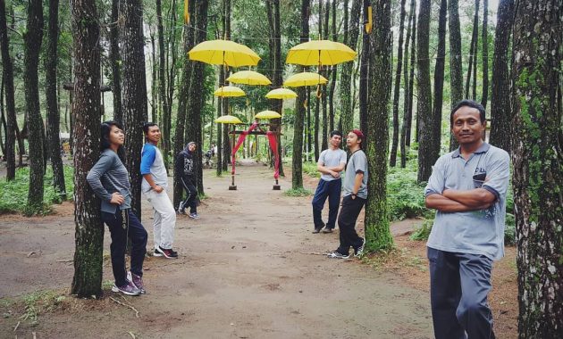 Hutan Pinus Songgon