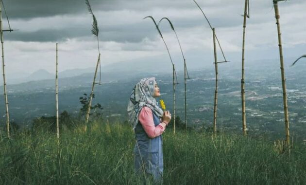 Indahnya View di Bukit Alesano, Pas Buat Camping dan Sunset Time
