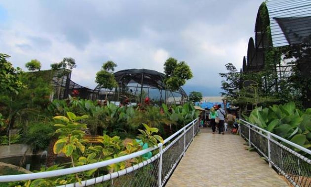 indahnya wisata eco green park batu