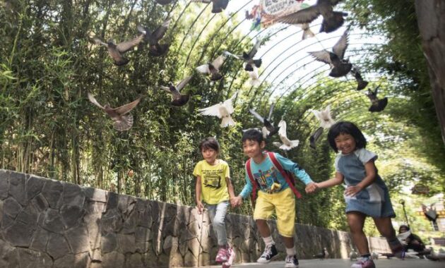 indahnya wisata eco green park batu